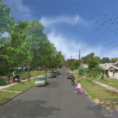 Tree canopy after1